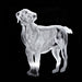 DOG COLLECTION icon