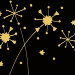 FIREWORKS GILDED icon