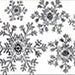 SNOWFLAKES icon