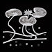 WATERLILIES icon