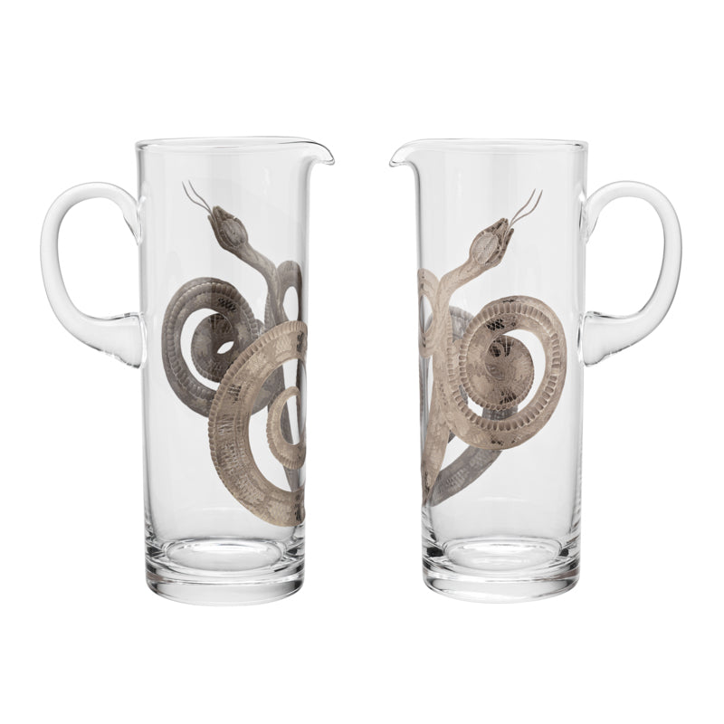 Cabinet of Curiosities Snake