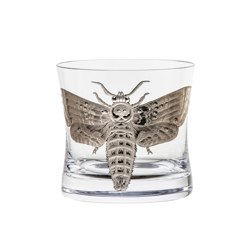 Cabinet of Curiosities Butterfly