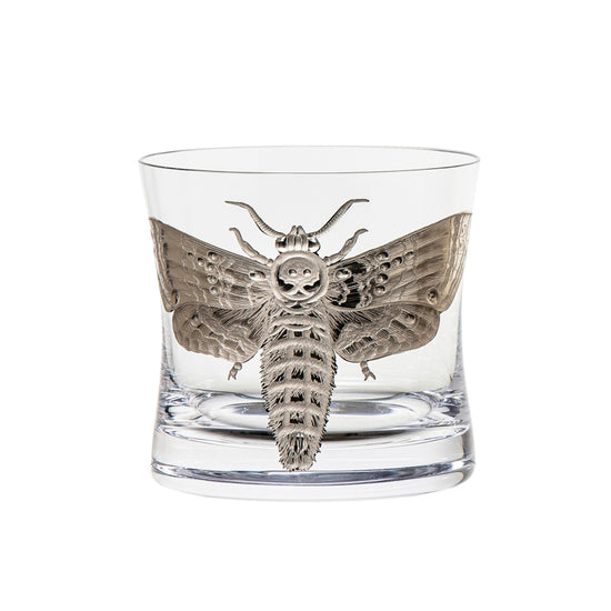 Cabinet of Curiosities Butterfly