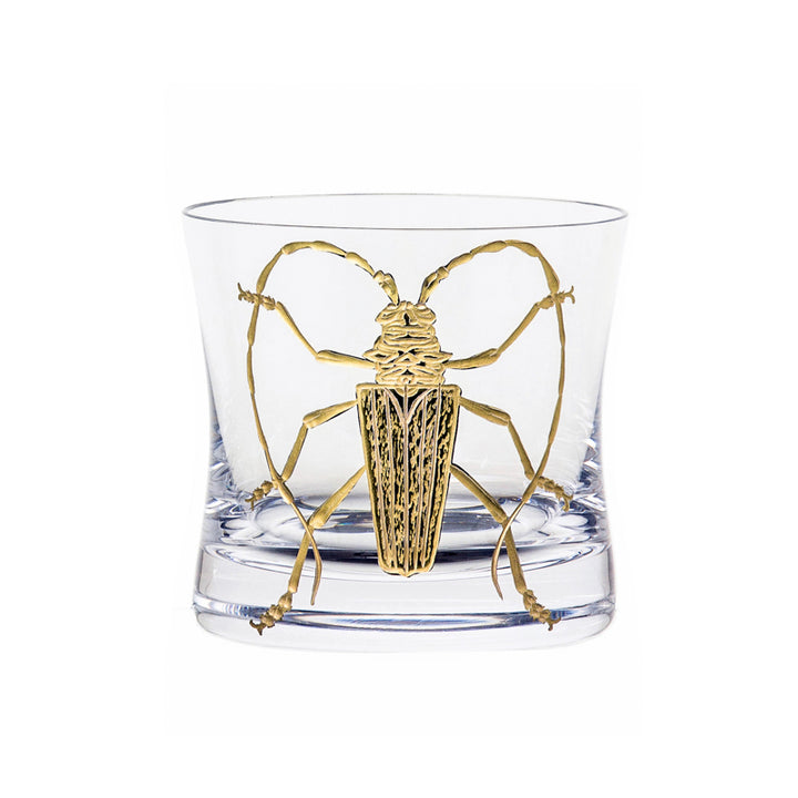 Cabinet of Curiosities Beetle