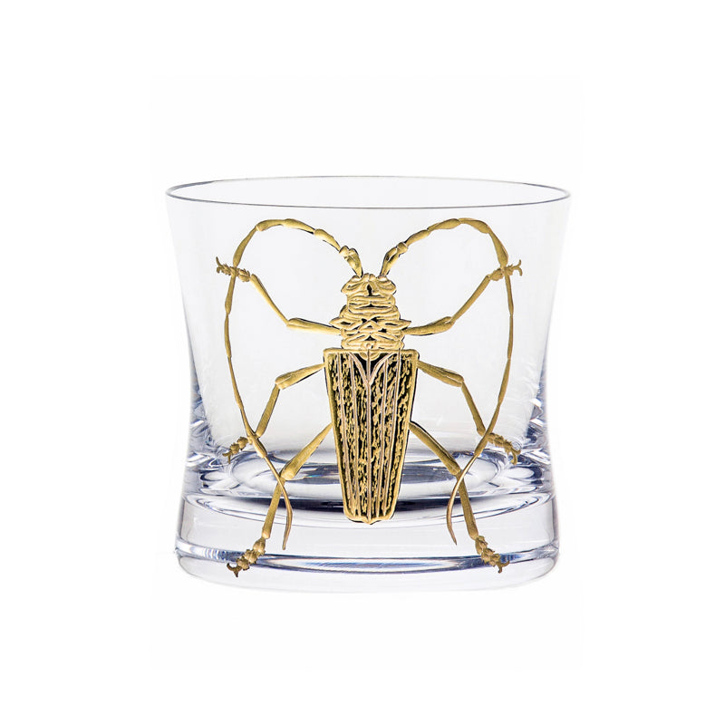 Cabinet of Curiosities Beetle