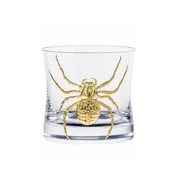 Cabinet of Curiosities Spider