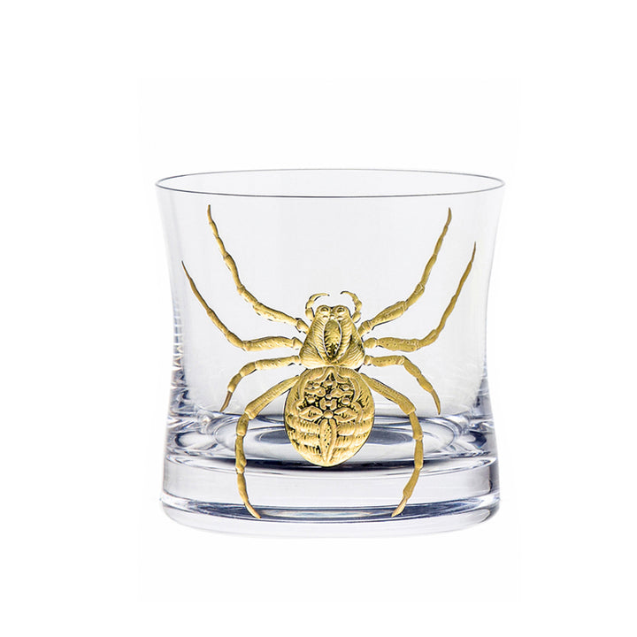 Cabinet of Curiosities Spider