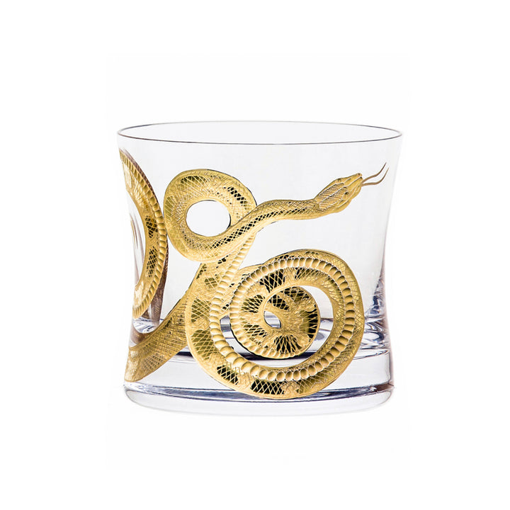 Cabinet of Curiosities Snake