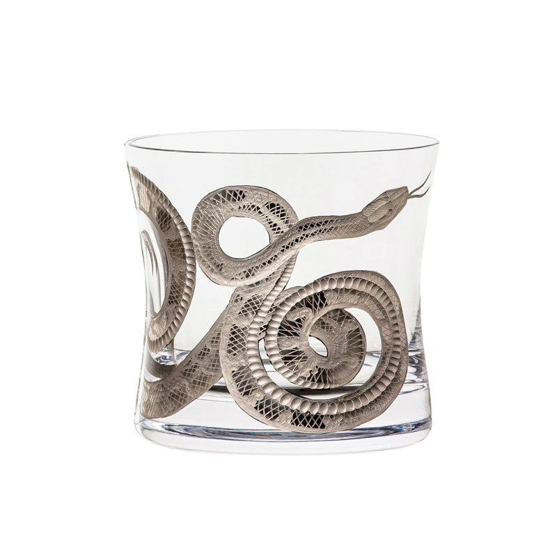 Cabinet of Curiosities Snake