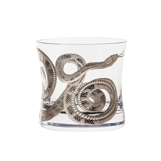 Cabinet of Curiosities Snake