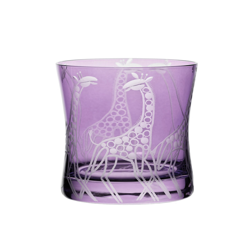 Safari Giraffes