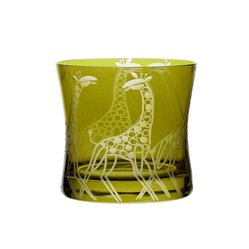 Safari Giraffes