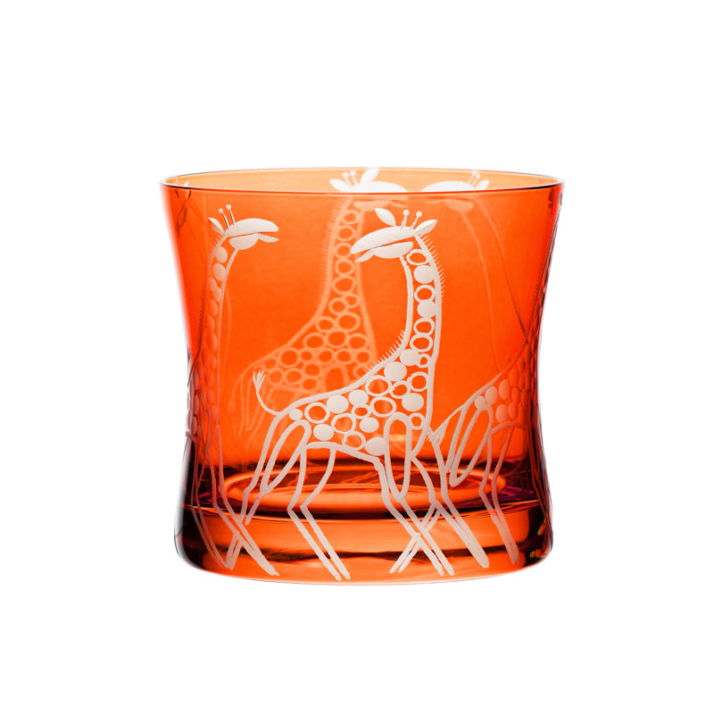Safari Giraffes