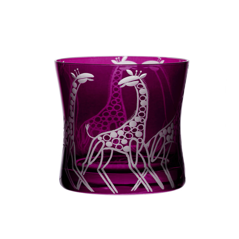 Safari Giraffes