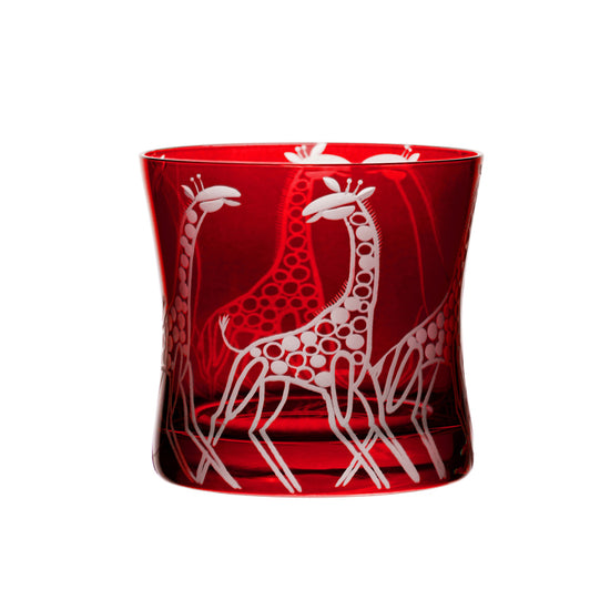 Safari Giraffes