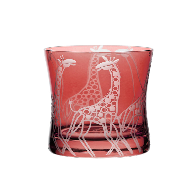Safari Giraffes