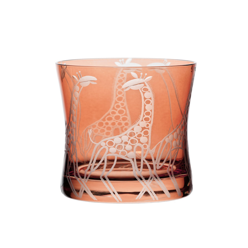 Safari Giraffes