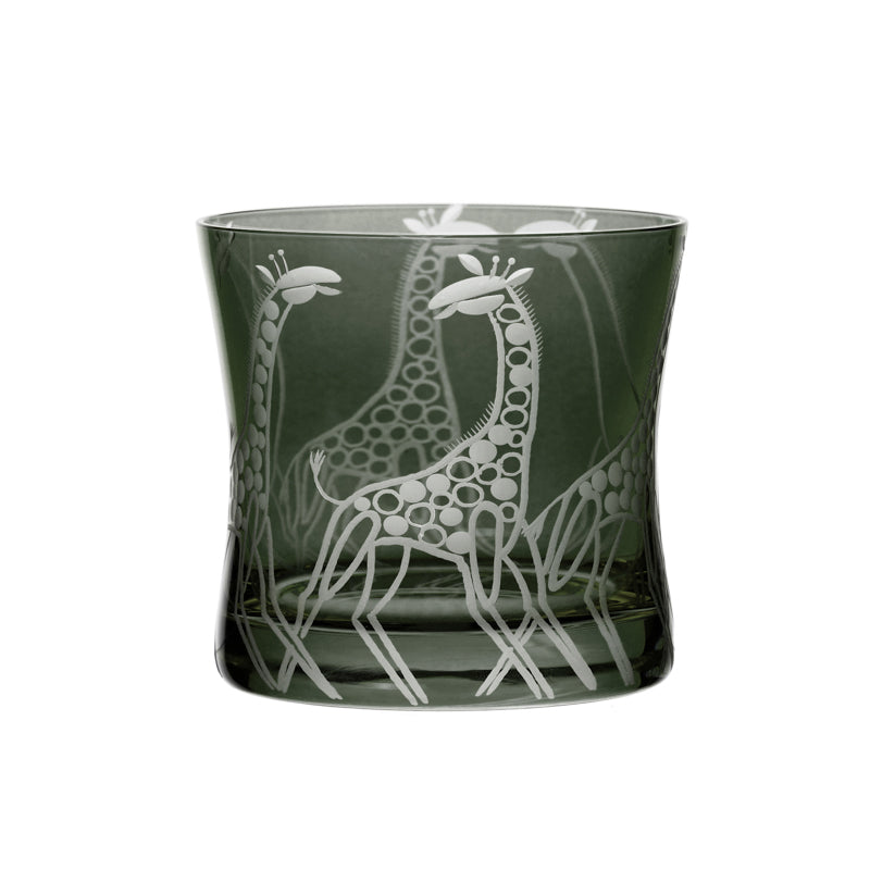 Safari Giraffes