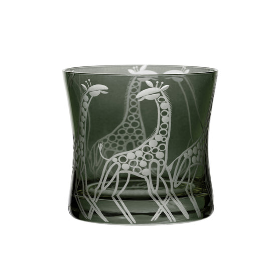 Safari Giraffes