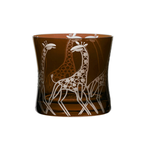 Safari Giraffes