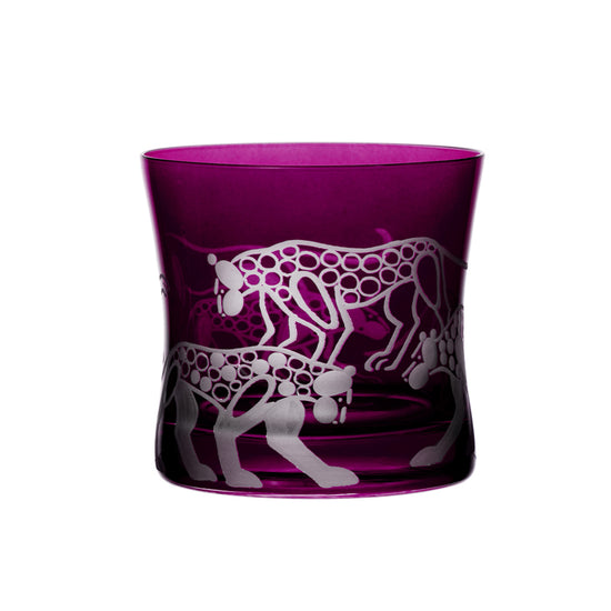 Safari Leopards