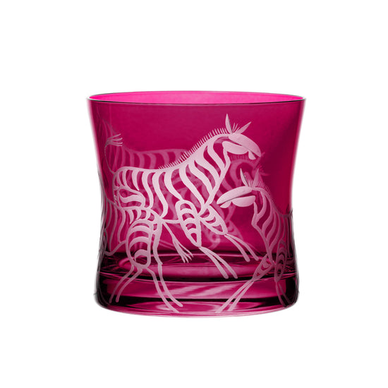 Safari Zebras
