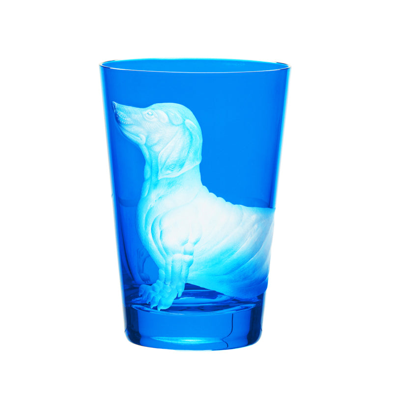 Dog Dachshund