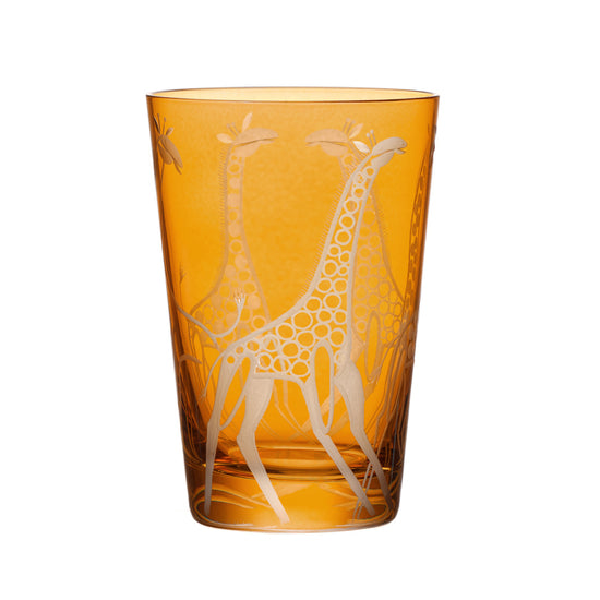 Safari Giraffes