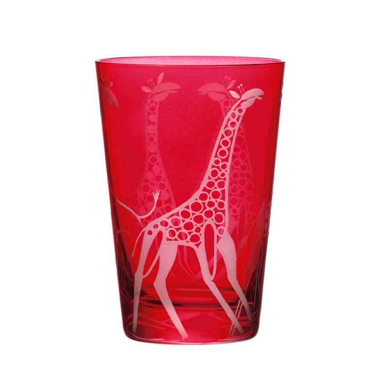 Safari Giraffes