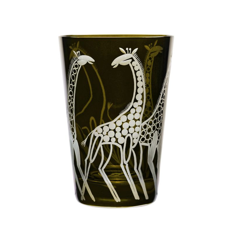 Safari Giraffes