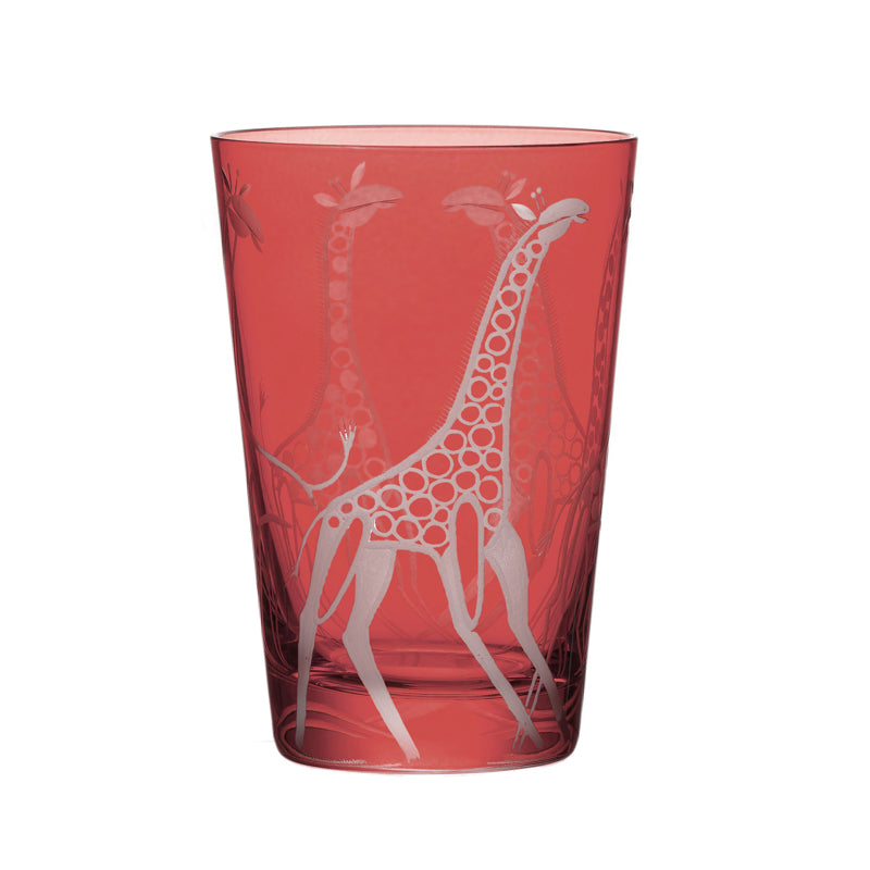 Safari Giraffes