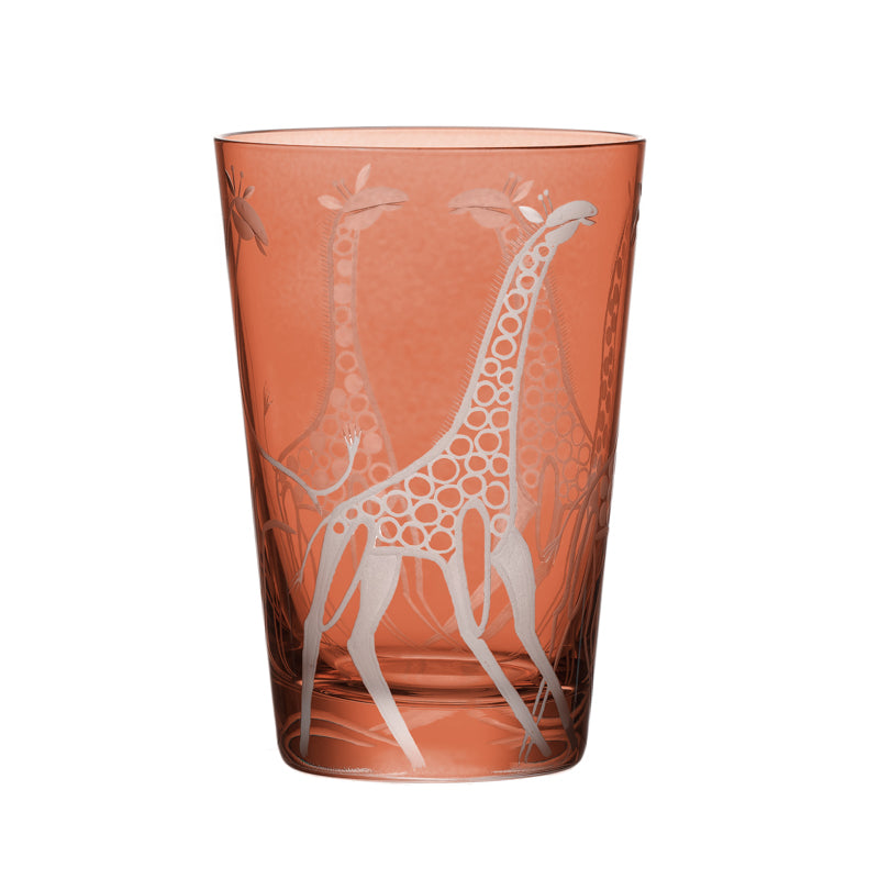 Safari Giraffes