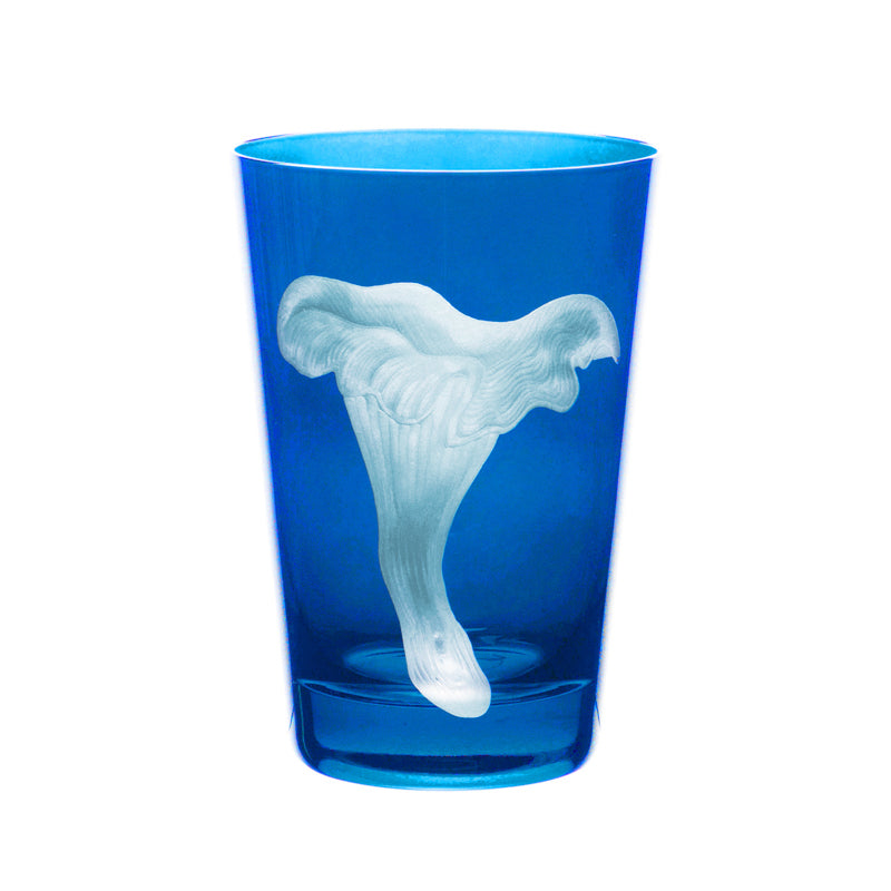 Mushrooms Chanterelle