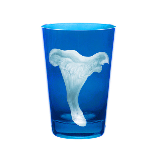 Mushrooms Chanterelle