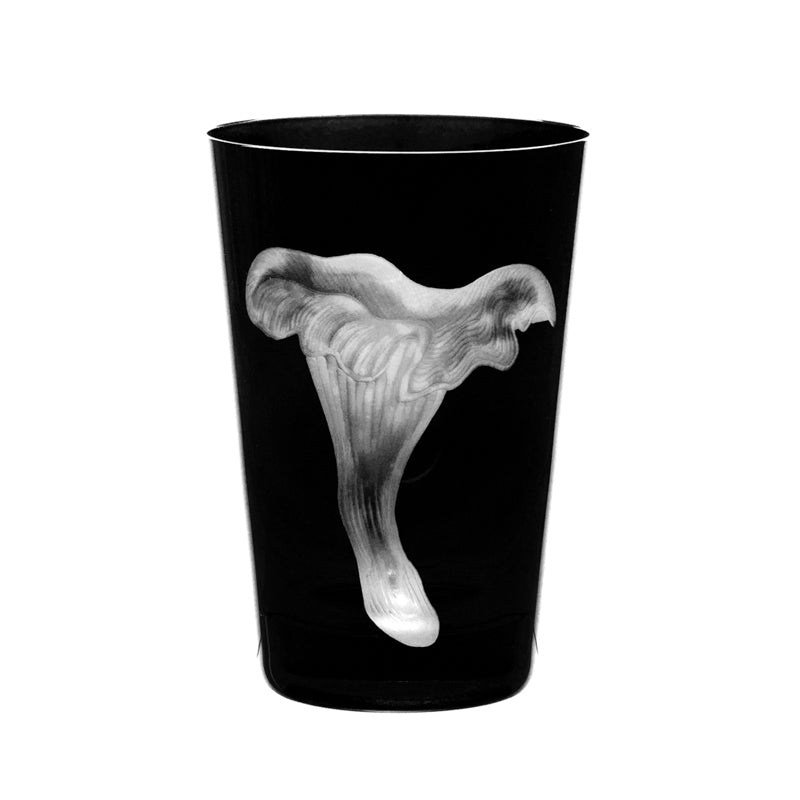 Mushrooms Chanterelle