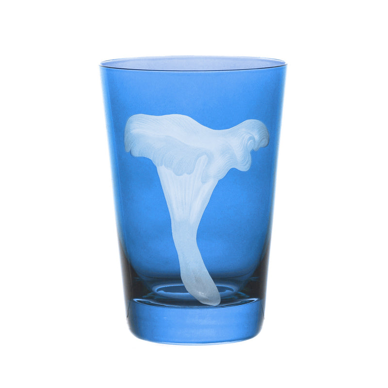 Mushrooms Chanterelle