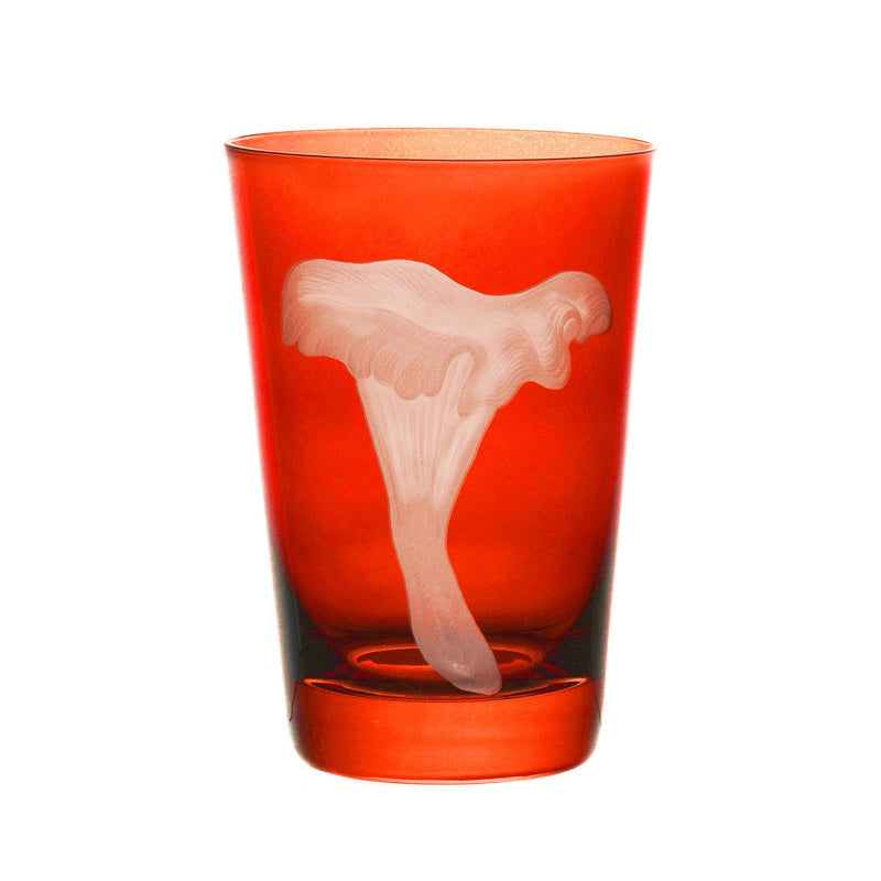 Mushrooms Chanterelle