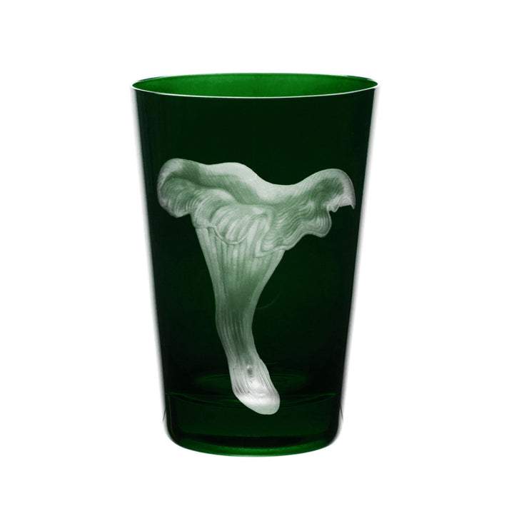 Mushrooms Chanterelle