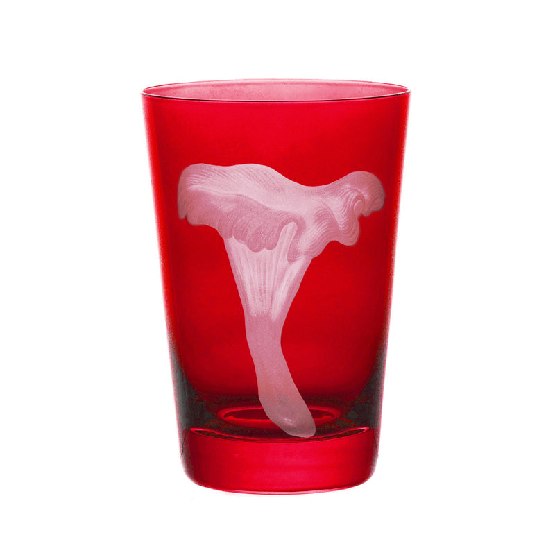 Mushrooms Chanterelle