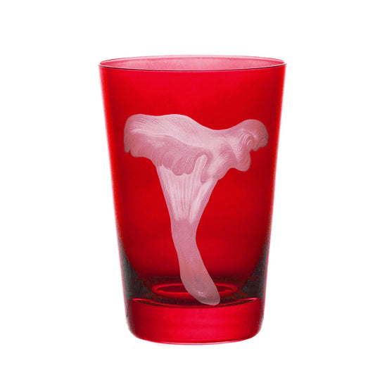 Mushrooms Chanterelle