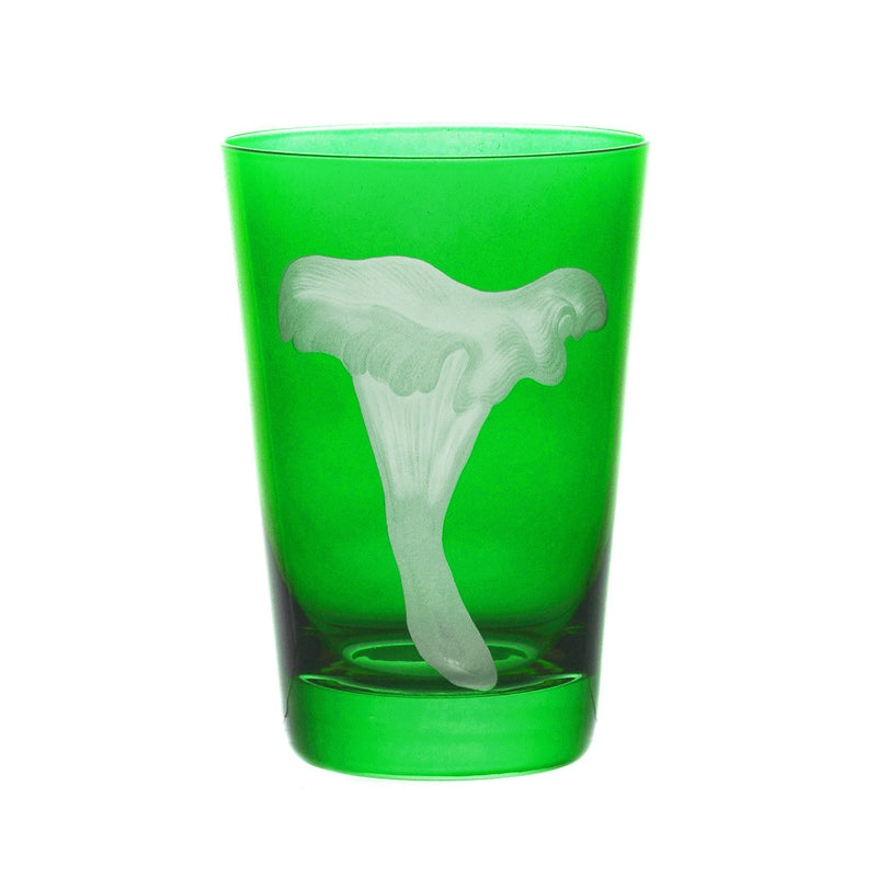 Mushrooms Chanterelle