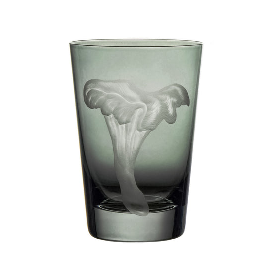 Mushrooms Chanterelle