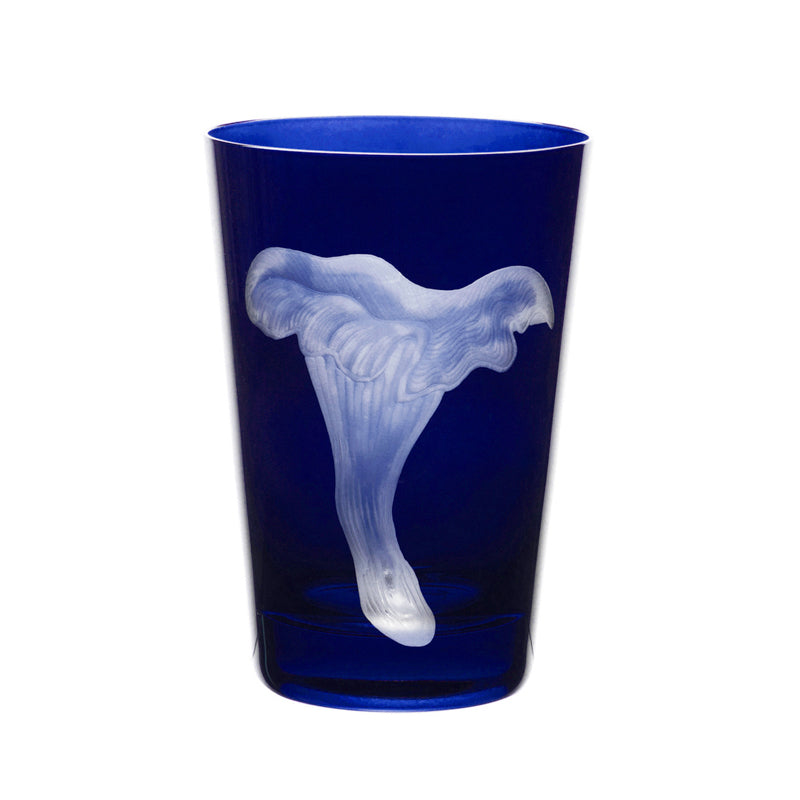 Mushrooms Chanterelle