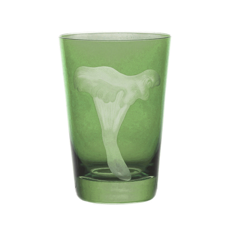 Mushrooms Chanterelle