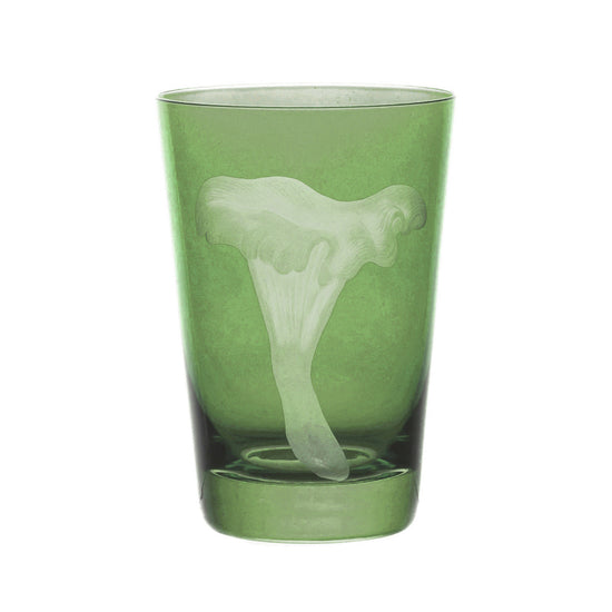 Mushrooms Chanterelle