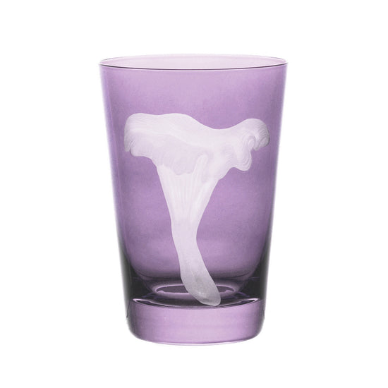 Mushrooms Chanterelle