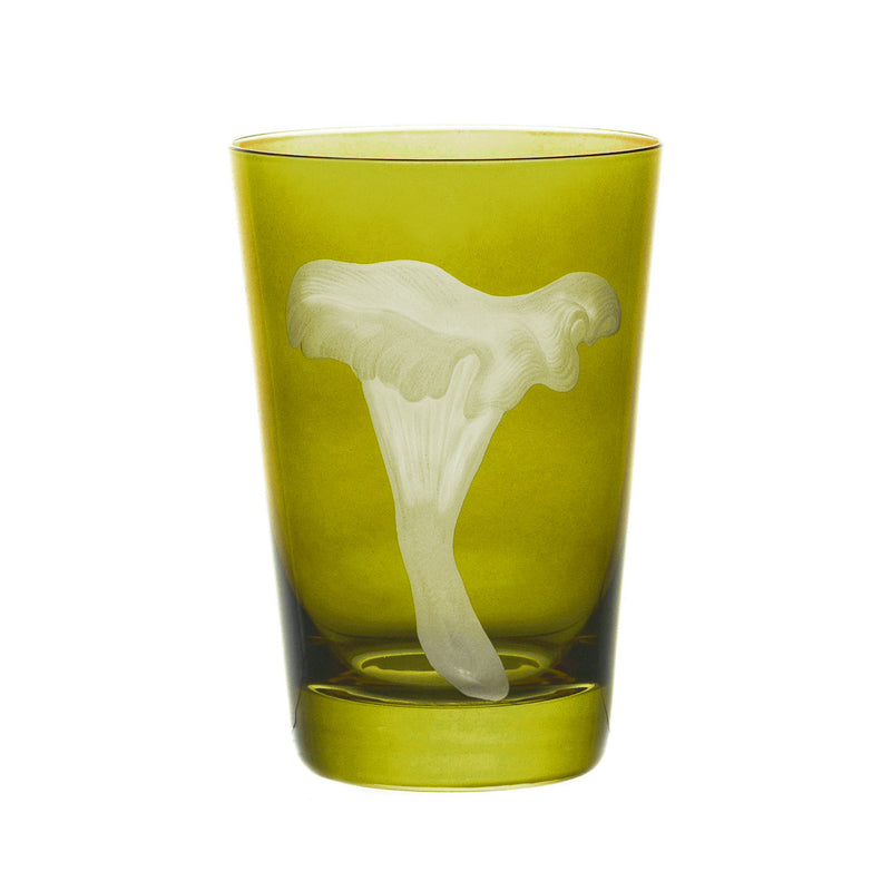 Mushrooms Chanterelle