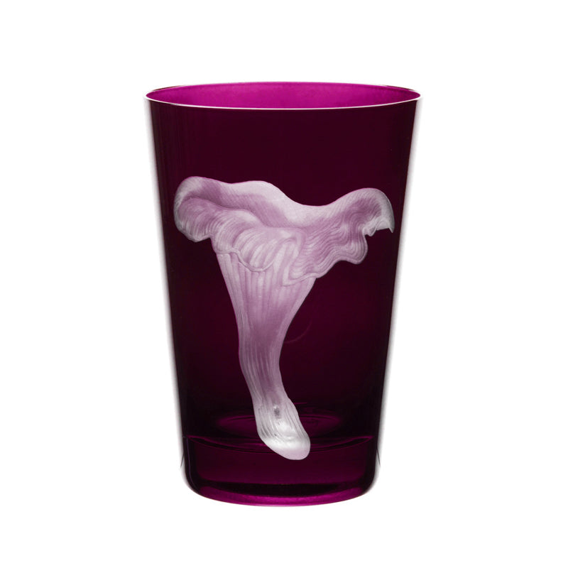 Mushrooms Chanterelle