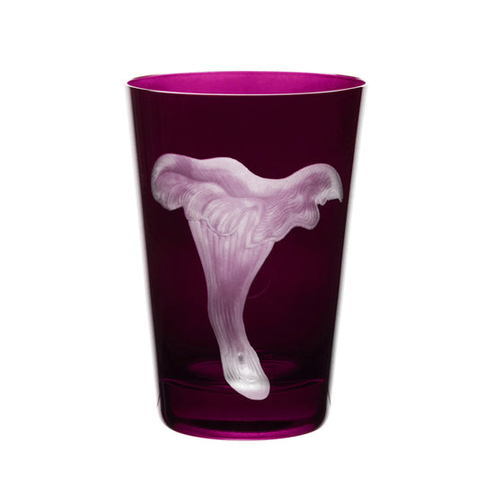 Mushrooms Chanterelle