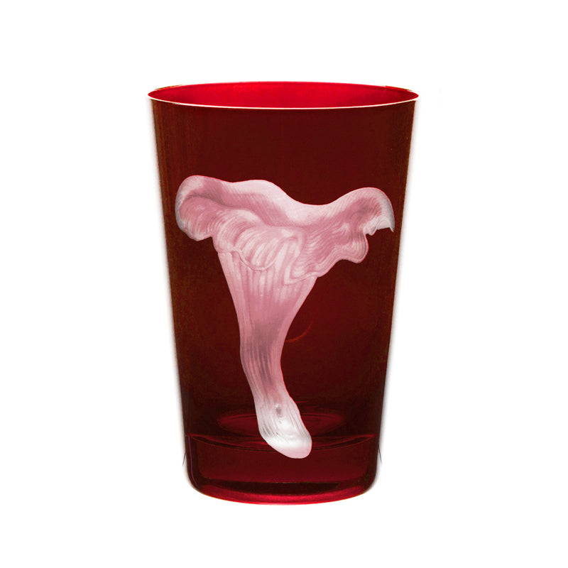 Mushrooms Chanterelle